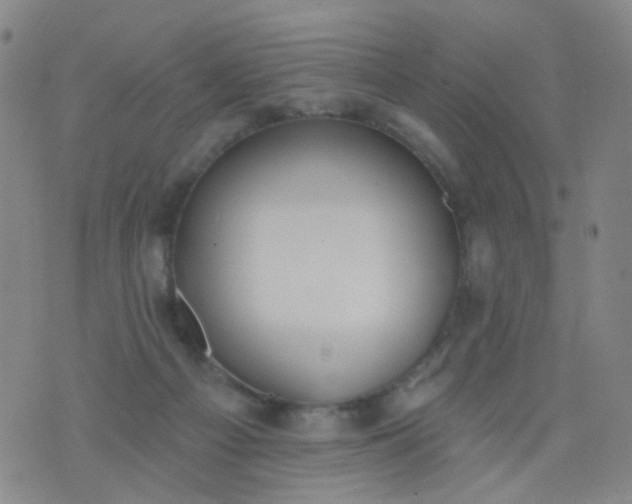 X0000076400121200610202140