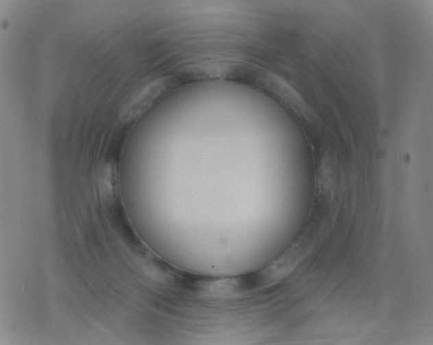 X0000076400122200610202140