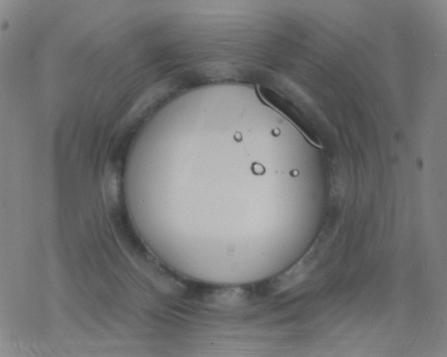 X0000076400124200610202140