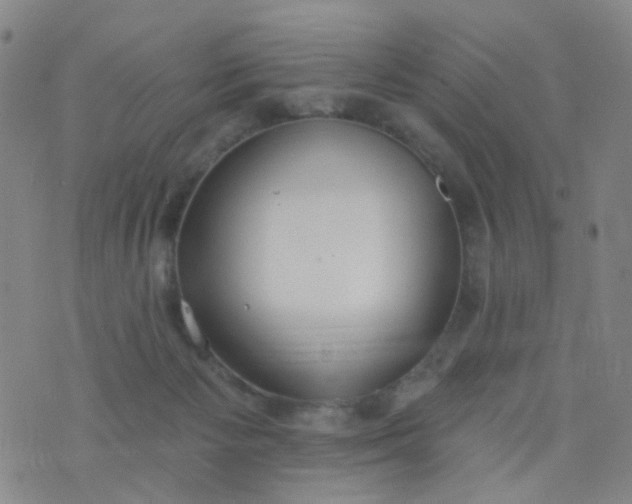 X0000076400125200610202139