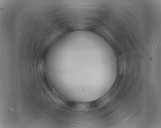 X0000076400126200610202139