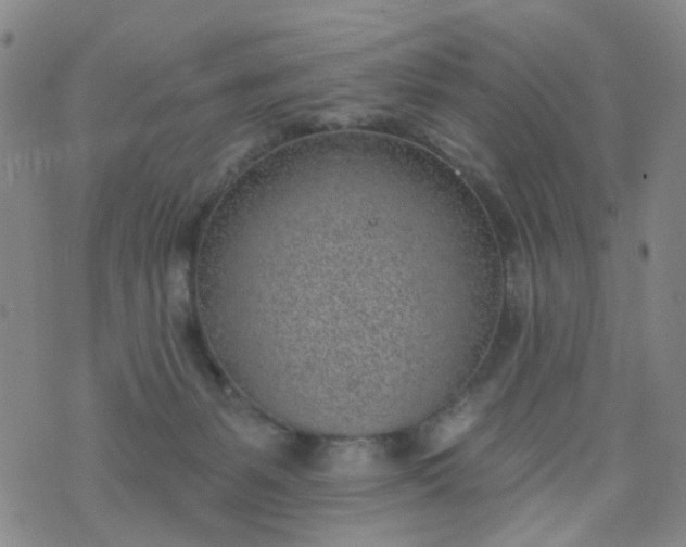 X0000076400127200610202139