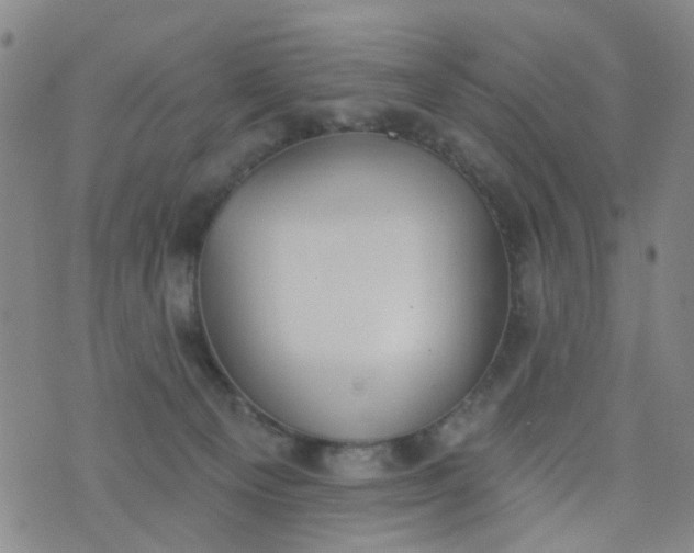 X0000076400129200610202139