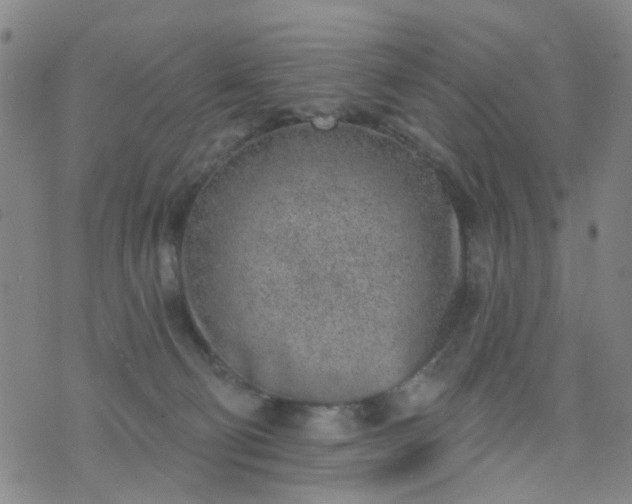 X0000076400130200610202139