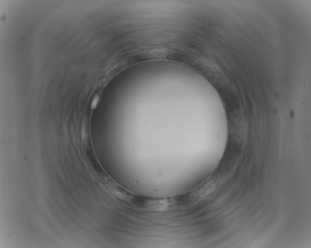 X0000076400131200610202139