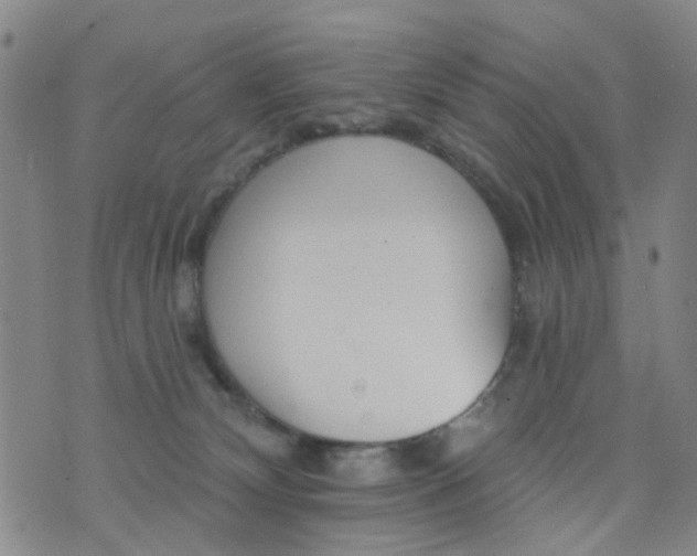 X0000076400132200610202139