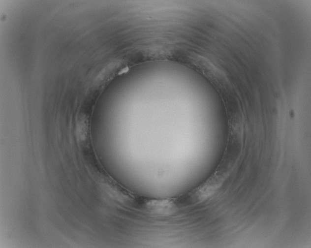 X0000076400133200610202139