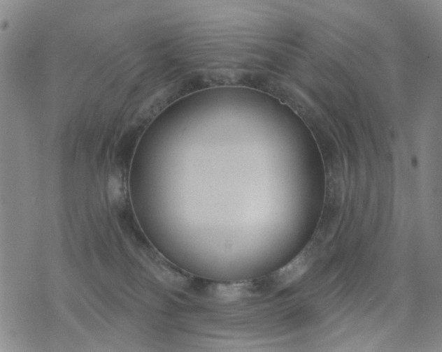 X0000076400134200610202139