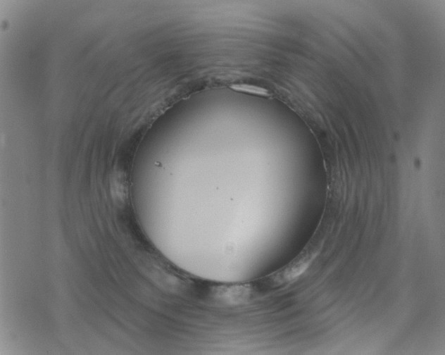 X0000076400135200610202139