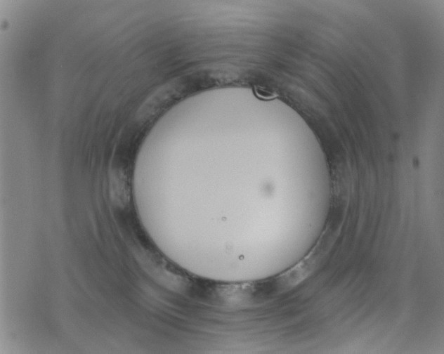 X0000076400136200610202139