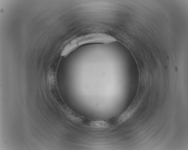 X0000076400137200610202139