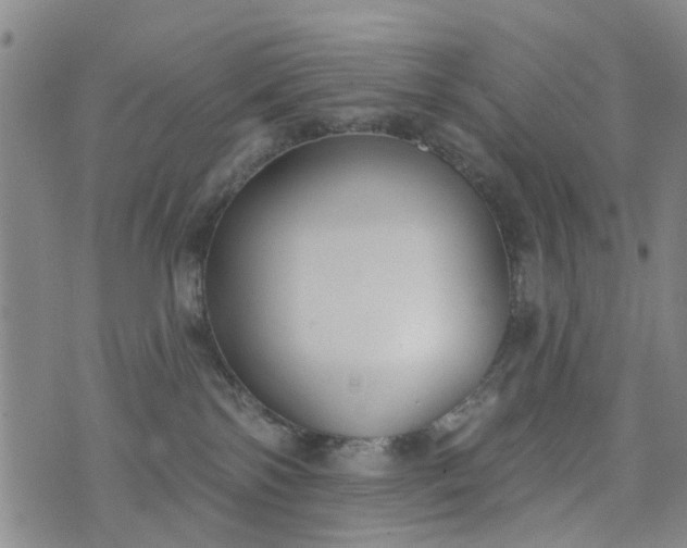 X0000076400138200610202139