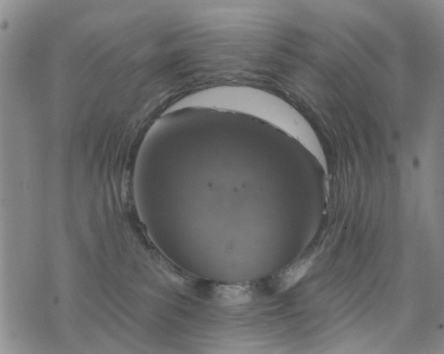 X0000076400139200610202139