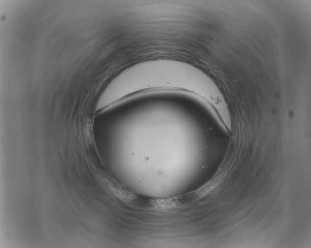 X0000076400141200610202139