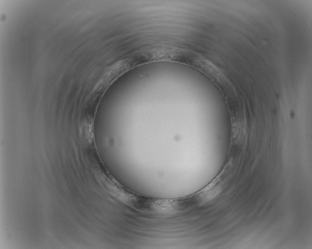 X0000076400142200610202139