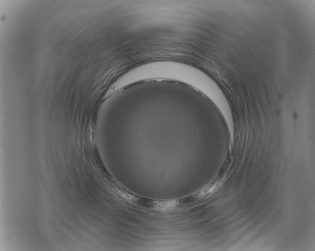 X0000076400143200610202139