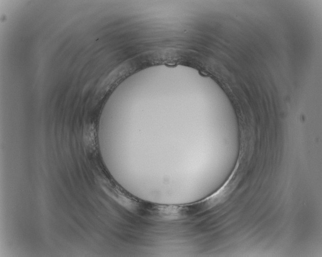 X0000076400144200610202139