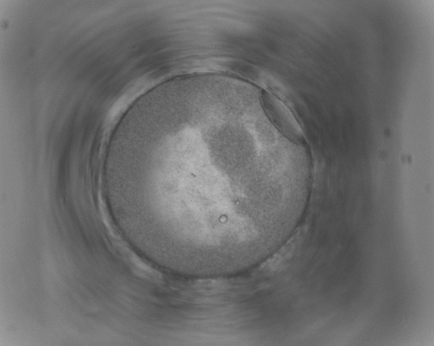 X0000076400145200610202138