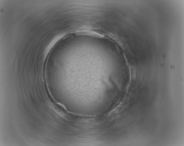 X0000076400147200610202138