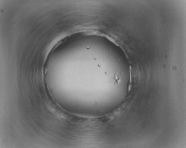 X0000076400148200610202138