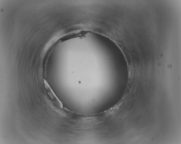 X0000076400150200610202138