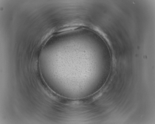 X0000076400153200610202139