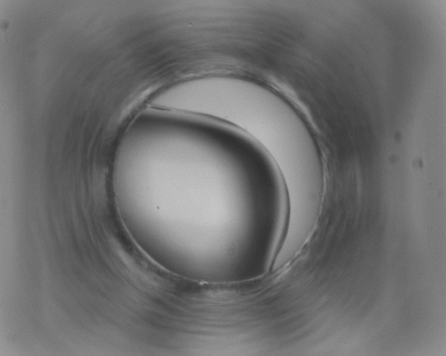 X0000076400154200610202139