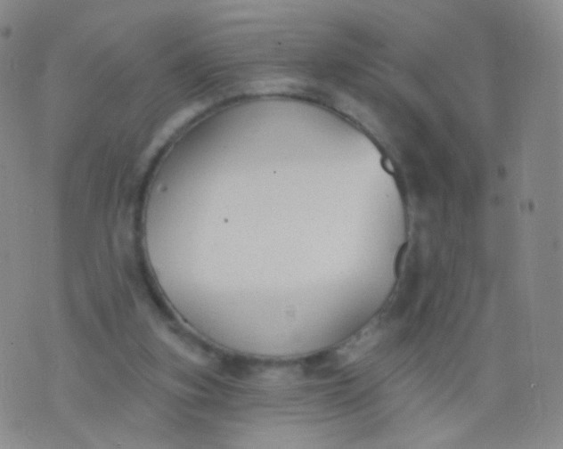 X0000076400155200610202139