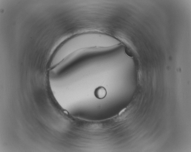 X0000076400156200610202139