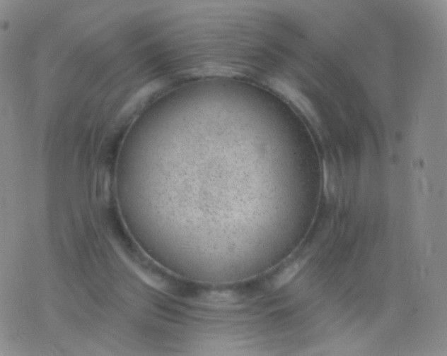 X0000076400157200610202139