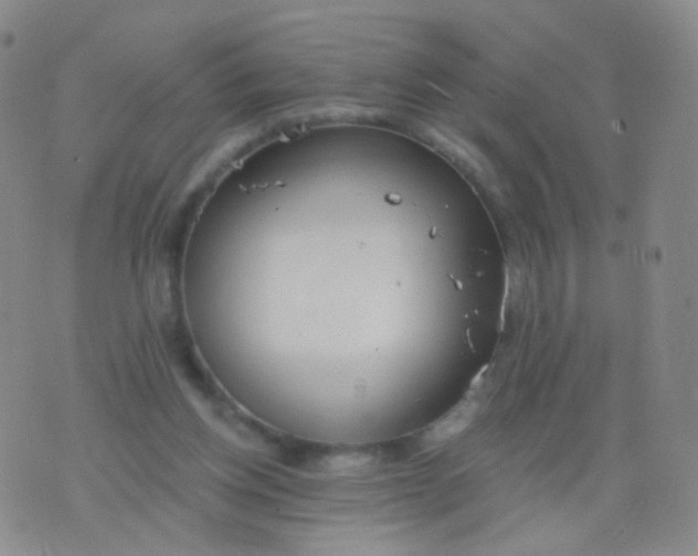 X0000076400158200610202139