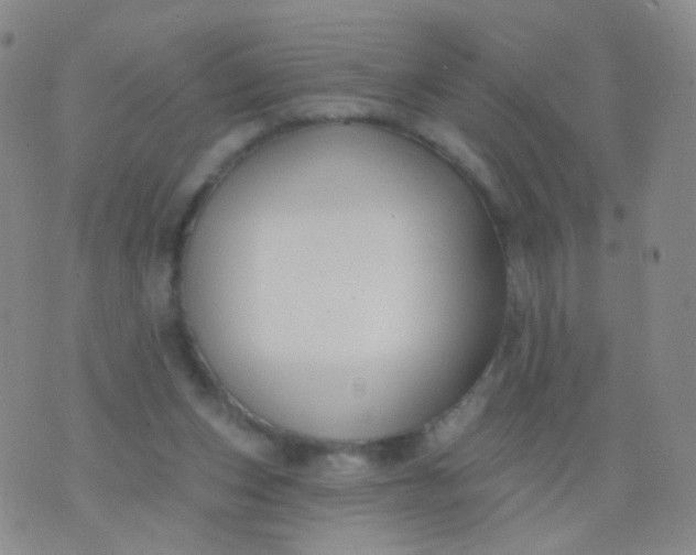 X0000076400159200610202139