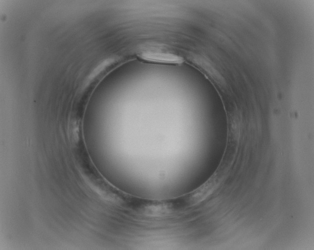 X0000076400160200610202139