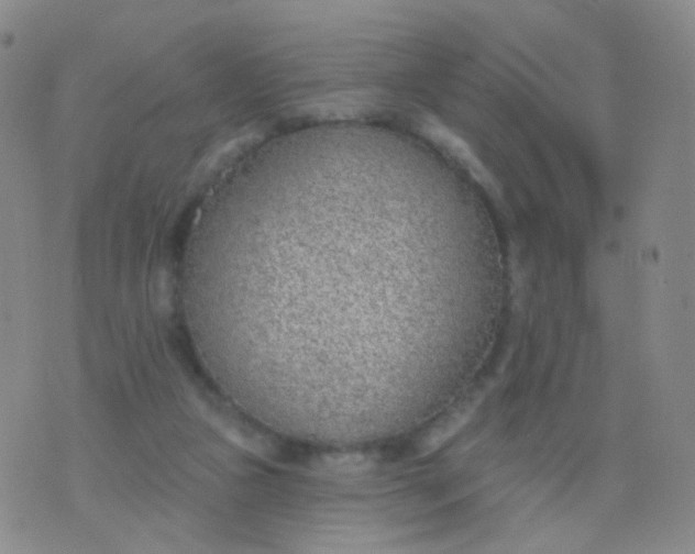 X0000076400161200610202139