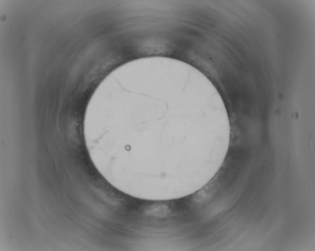 X0000076400162200610202139