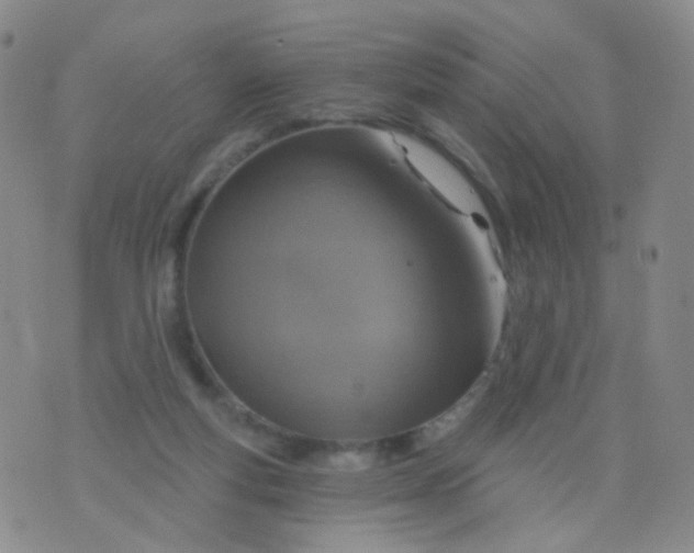 X0000076400163200610202139