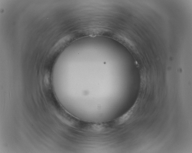 X0000076400166200610202139