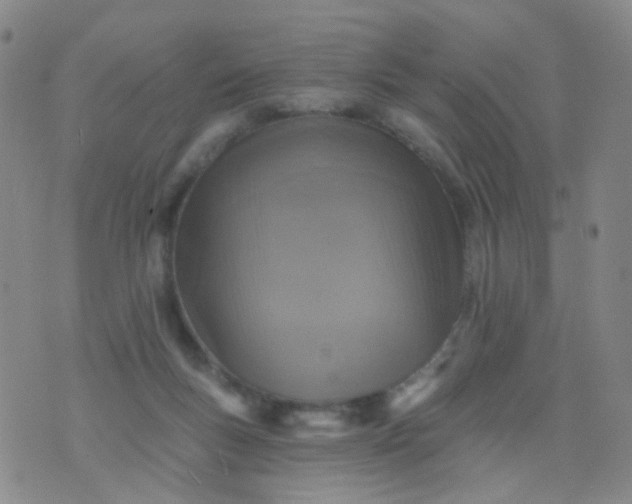 X0000076400167200610202139