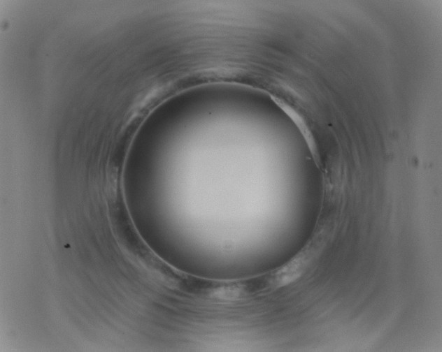 X0000076400168200610202139