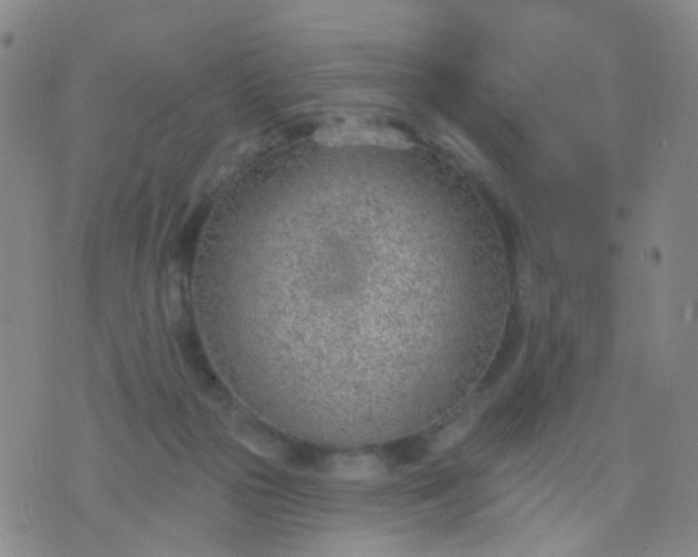 X0000076400169200610202139