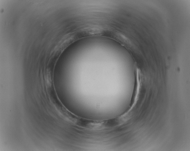 X0000076400170200610202139