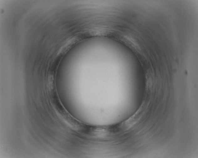 X0000076400171200610202139