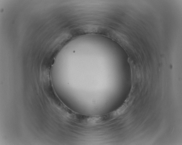 X0000076400172200610202139