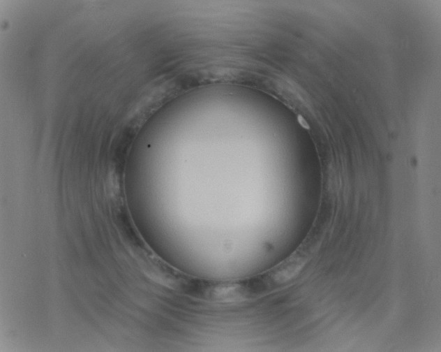 X0000076400173200610202139