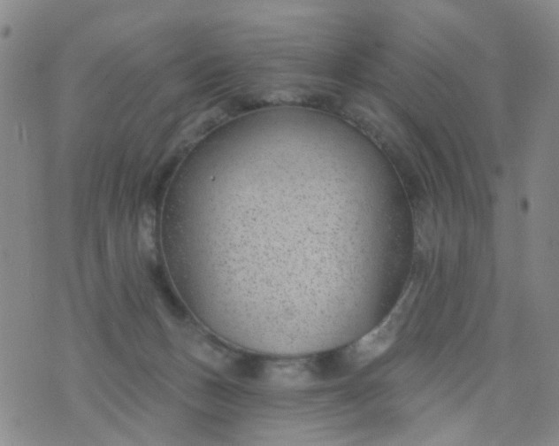 X0000076400175200610202139