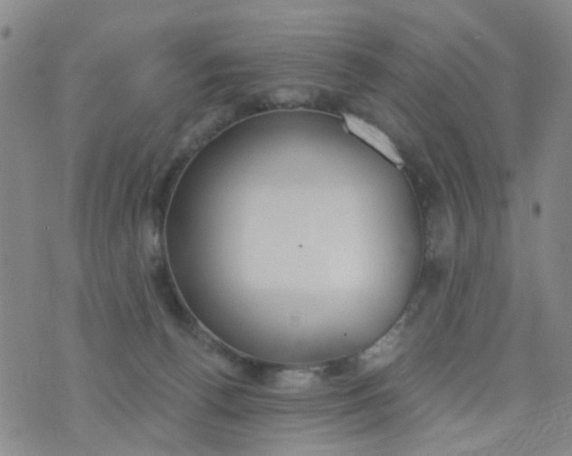 X0000076400176200610202139