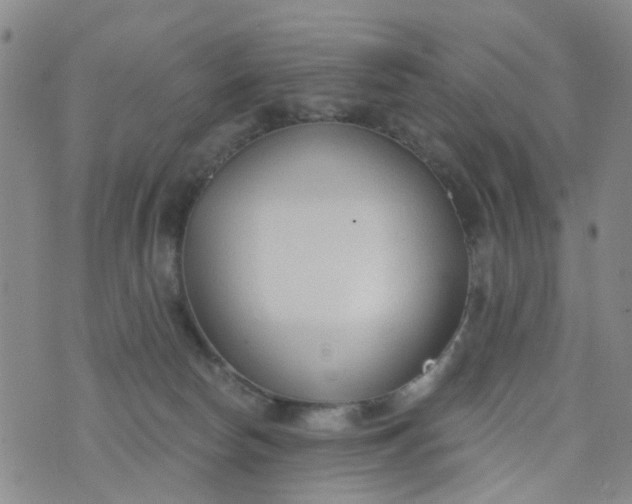 X0000076400178200610202139