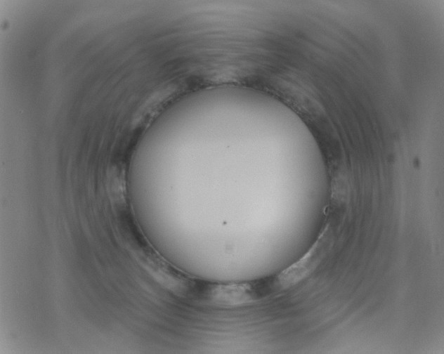 X0000076400179200610202139