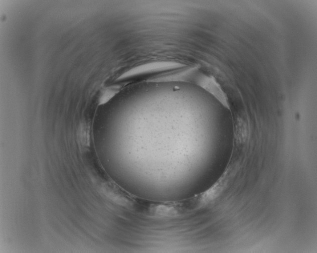 X0000076400180200610202139