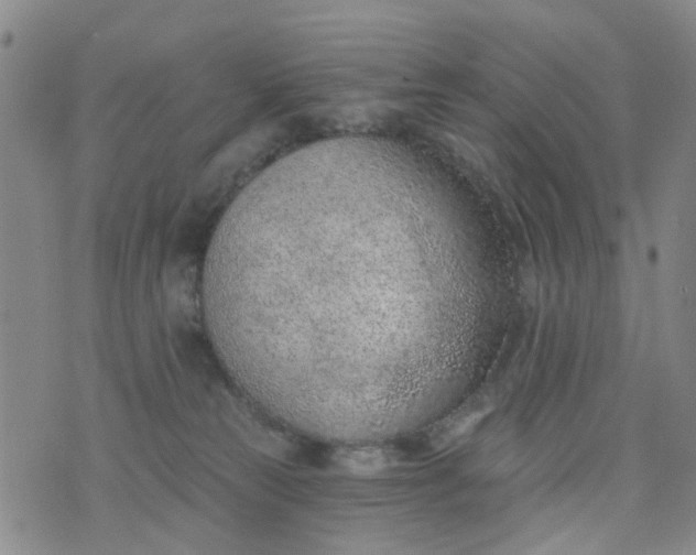 X0000076400181200610202139